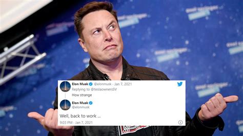 Elon Musk names new Twitter CEO